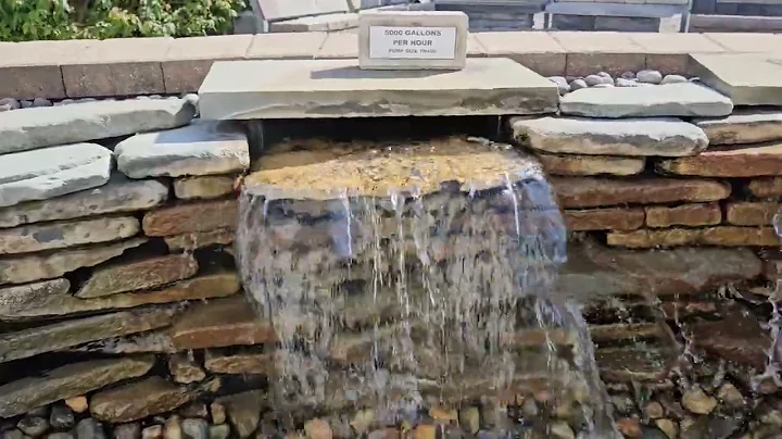 5 Pond Pump Comparison 🎉 ⛲️