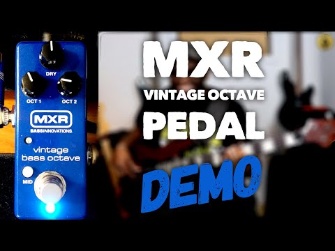 MXR Mini Vintage Octave Bass Pedal Demo ~ Daric's Bass Lessons