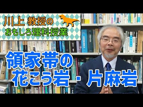 領家帯の花崗岩・片麻岩