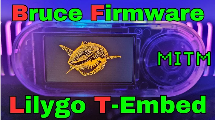Turn Your LILYGO T-Embed into a Flipper Zero Alternative! | Bruce Firmware Guide