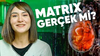 Tüpün İçi̇nde Mi̇yi̇z The Matrix Gerçekleri Ve Felsefesi