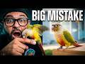 Getting a Bird Wasn’t What I Expected…