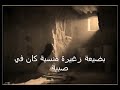 ترنيمة هللويا بضيعة زغيرة صغيرة 