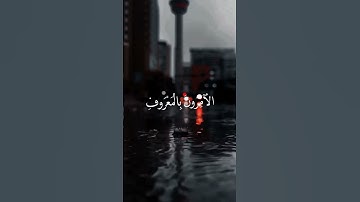 ايات من سوره التوبه بصوت | القارئ حمزه طه #quran