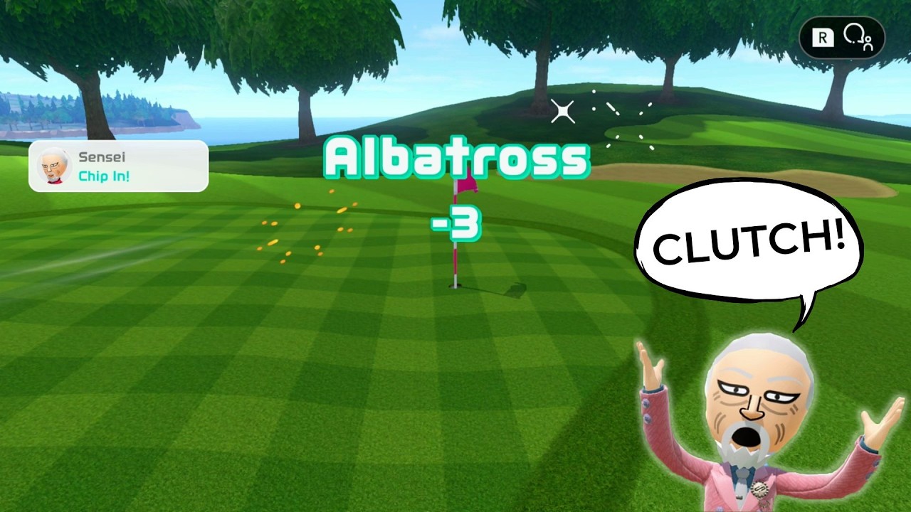 INSANE PRO TOURNAMENT MATCH (Switch Sports Golf) - YouTube