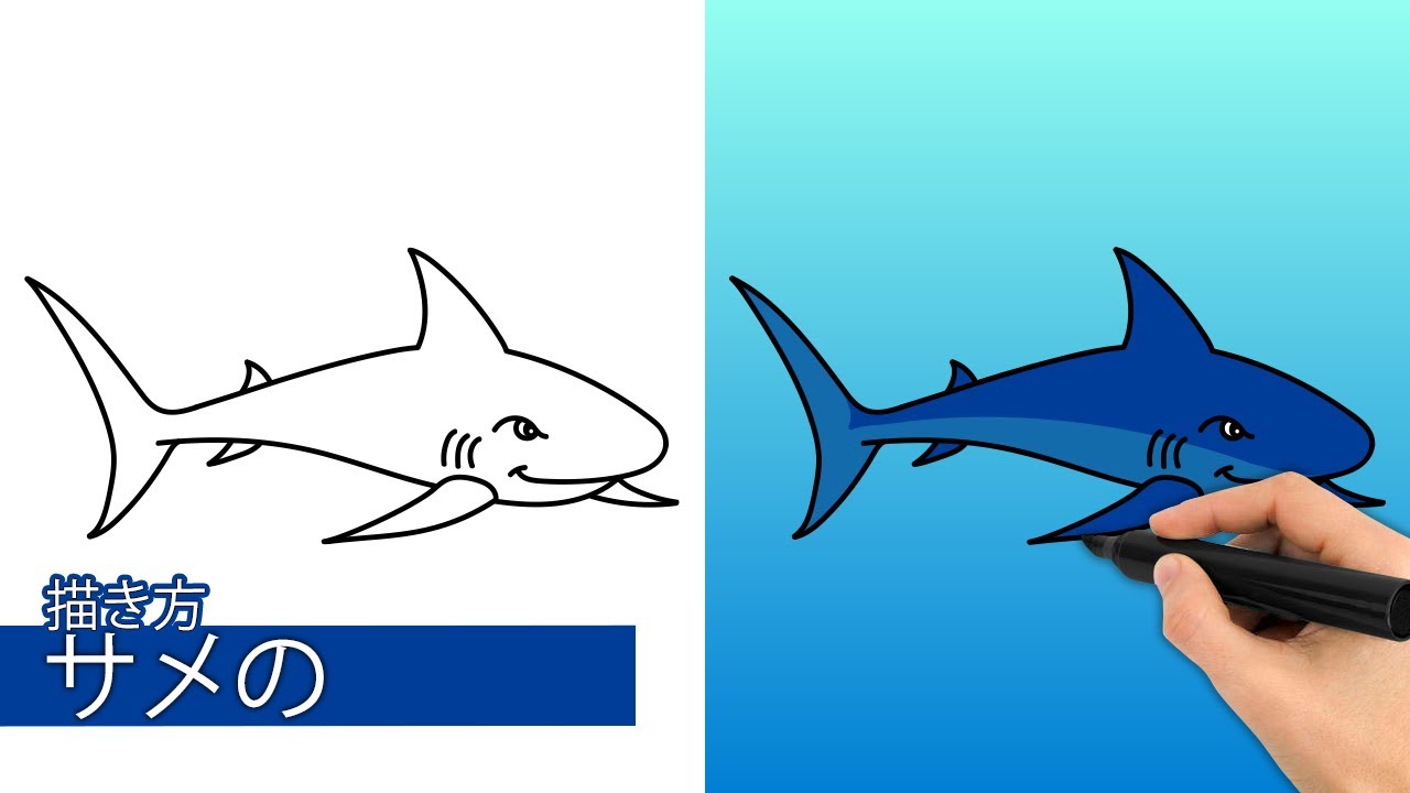 サメの描き方 簡単なステップバイステップの描画チュートリアル