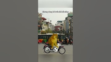 Trong cái rủi có cái xui #memes #shorts