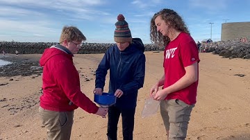 Microplastics Sampling Instructions