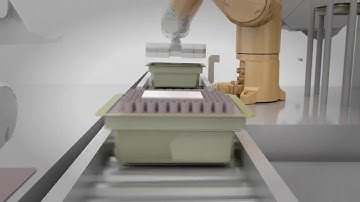 Visualisation of pre-filled syringe tub inspection, labelling, lidding and palletising machine