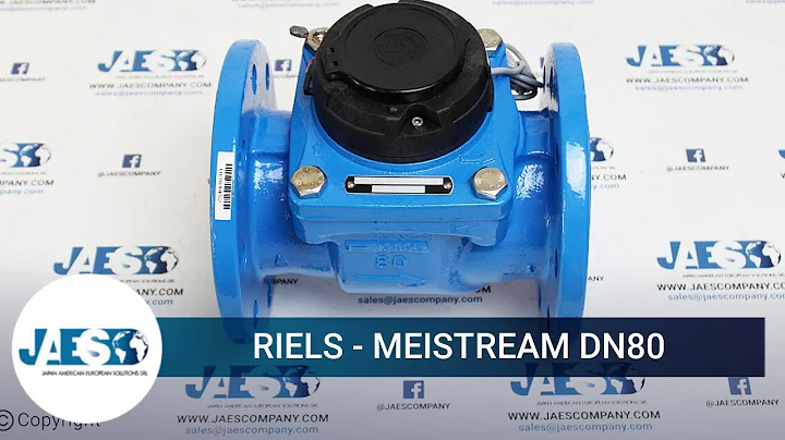 RIELS - MEISTREAM DN80 - WATER COUNTER WOLTMANN