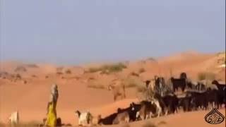 بديه من اداء سالم المعمري