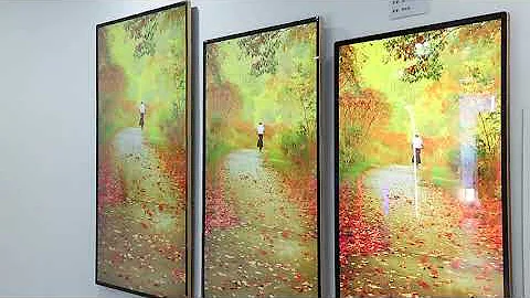 Full HD 19 - 65 inch LED Wall Mount Digital Signage Indoor Advertising Player