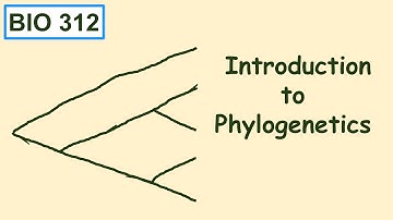 Introduction to phylogenetics