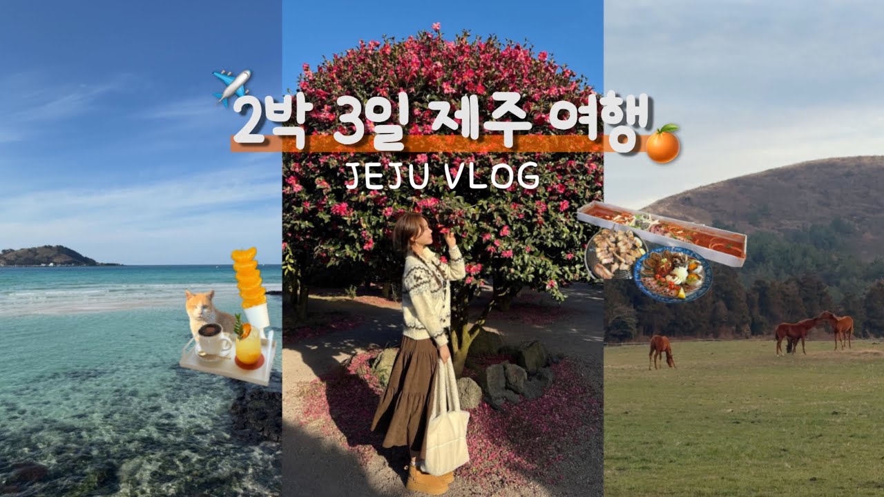 [vlog] 🍊2박 3일 제주여행 브이로그🧡ㅣ겨울 제주 서쪽 여행인데 동쪽을 곁들인...💭ㅣ동백꽃 향기 가득한 제주에서 힐링 🌺