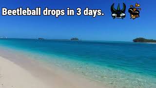 Beetleball. 3 Days. Be there.