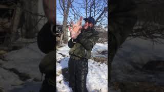 Видео Поросячий визг (автор: Сергей Бобо)