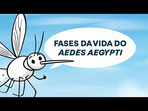 Vídeo: Como prevenir a reprodução de mosquitos: 15 etapas (com fotos)