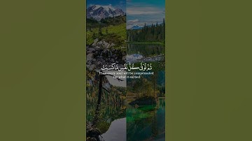 واتقوا يومًا ترجعون فيه إلى الله من سورة البقرة بصوت الشيخ أحمد النفيس