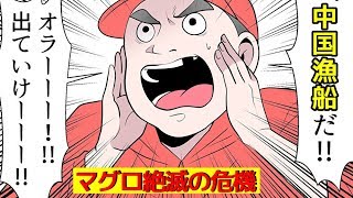 (実話)マグロ漁師の過酷な現状を漫画にしてみた。(マンガで分かる)