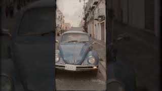 Mexico&#39;s Classic VW Beetles/Vochos (Why are there so many?) Mexico Travel