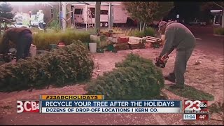 Recycle your tree after the holidays
