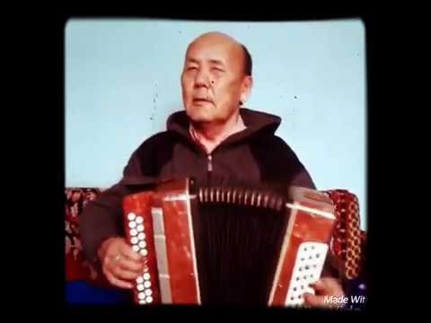 Grandfather playing piano on the accordion/Дед играет на баяне песню Papito