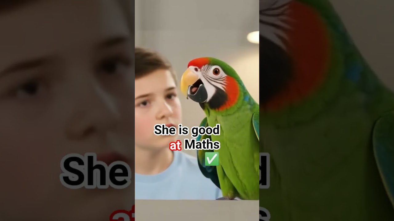 Learn From Parrot🦜 (3) 