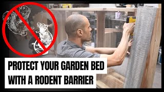 How to Protect Your Raised Garden Bed from Rodents: Installing a Rodent Barrier