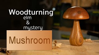 Woodturning  Mushroom from elm and something else...