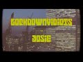 LOCKDOWNVIDIOTS - Josie (Steely Dan Cover)