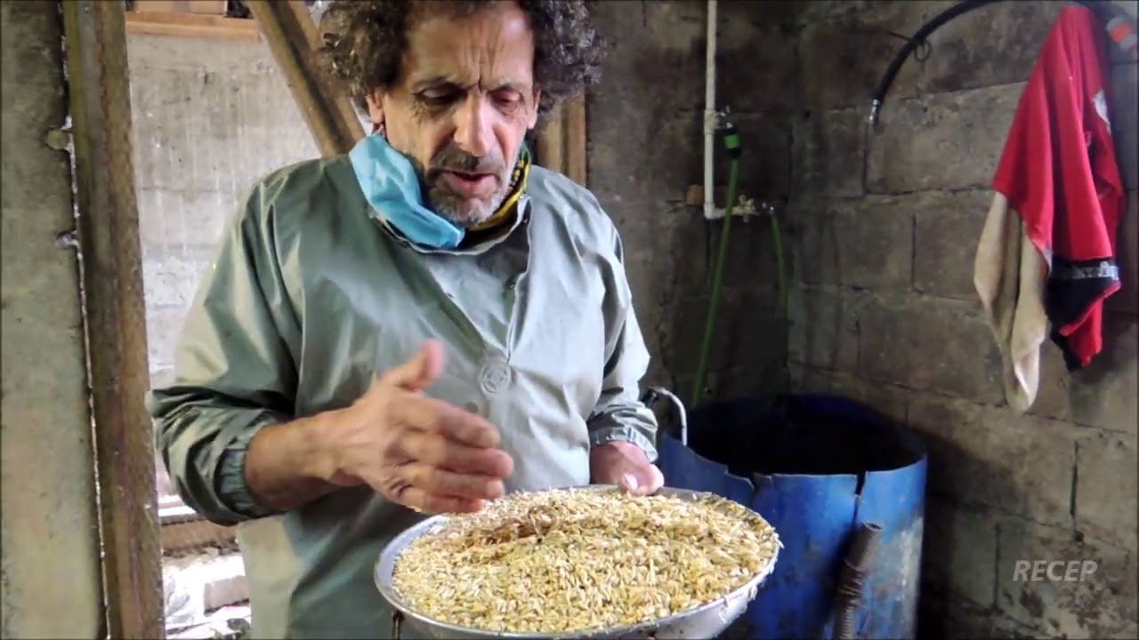 HAYVANLARIMIZA YEM HAZIRLAMAK - YouTube