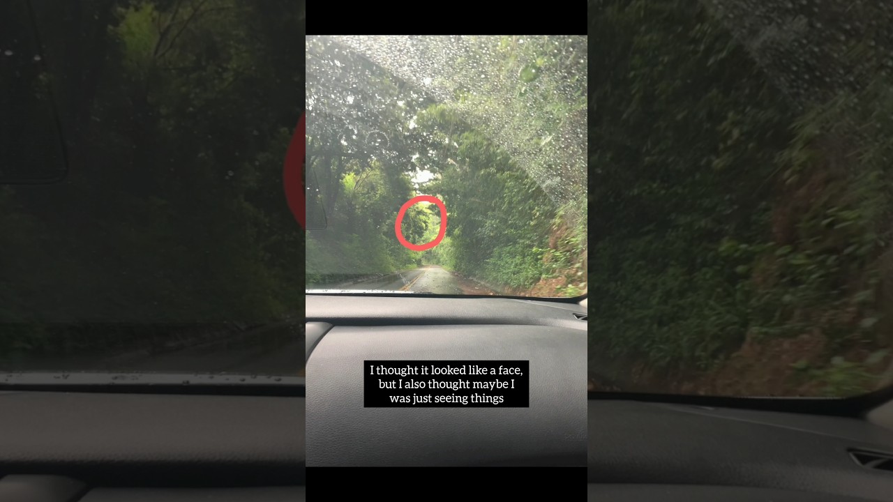 Did We See a Spirit on Old Pali Road?