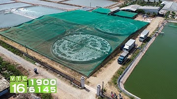Thu 23 tỷ đồng nhờ 1ha nuôi tôm công nghệ cao | VTC16