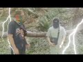 honziba-korvo rico