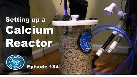 How to set up a Calcium Reactor