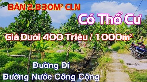 [ ĐÃ BÁN ] Đất Vườn 2 Mặt Tiền - Có Thổ Cư - Giá Rẻ tại Cai Lậy - Tiền Giang
