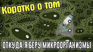 Коротко о том, откуда я беру микроорганизмы для видео