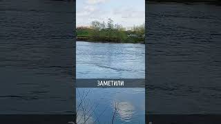 Рыбаки из Молдовы устроили паломничество в Приднестровье
