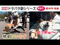 2022狂犬病予防注射会場のドタバタ劇・其の5 射水市後編