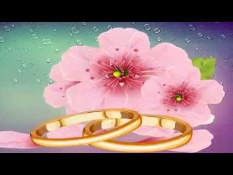 هى دى هى فرحة الدنيا عمار الشريعي