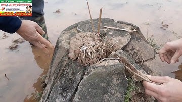 Cuộc Sống Thường Ngày: Phong Tục ĐI TẢO MỘ CUỐI NĂM Của Mỗi Dòng Họ Ở Việt Nam