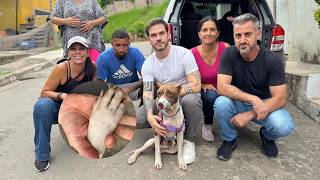 Abandonaram essa Pitbull doente na mata… o estado dela partiu nosso coração 💔