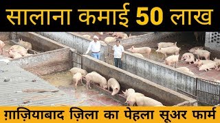 How to Start pig farming in india | Sucess Story of pig farming | sukar palan | यूपी में सुअर फार्म