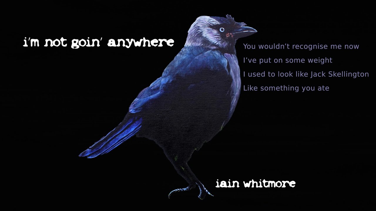 Iain Whitmore – I'm Not Going Anywhere - YouTube