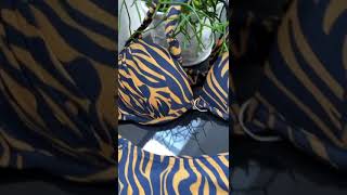 Biquíni Zebra Azul Marinho Com Dourado