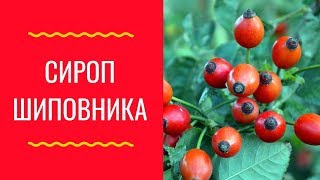 Сироп шиповника для лечения печени в домашних условиях - Домашний лекарь - выпуск №184 Сироп шиповника для лечения печени в домашних условиях - Домашний лекарь - выпуск №184