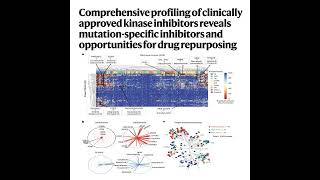 1014-KIRHub: Comprehensive Profiling of Kinase Inhibitors