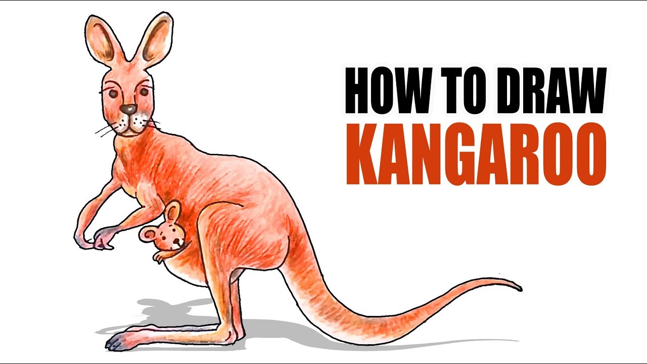 What Is A Kangaroo Worth In Adopt Me - roblox ride kangaroo