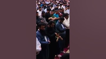 القارئ عمر عبدالله ( مبكي)