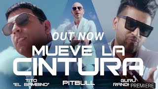 Pitbull ft. Tito El Bambino & Guru Randhawa - Mueve La Cintura   -  Spanish Song Resimi